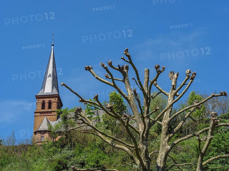 A church tower and a defoliated tree on a hill under a blue sky, Saarburg, Germany, Europe