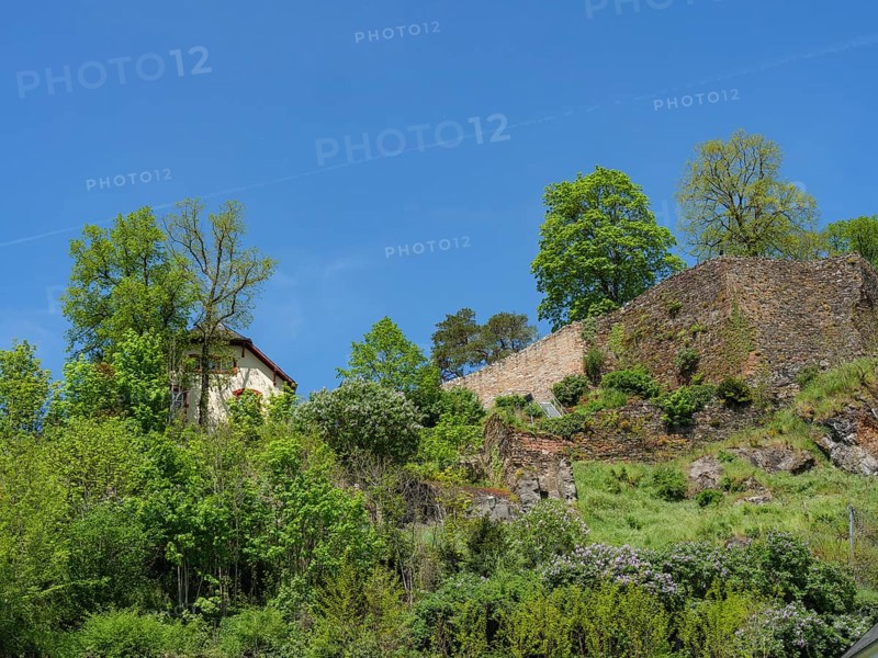 Historic ruin and a small house on a green hill surrounded by lush vegetation under a clear sky, Saarburg, Germany, Europe