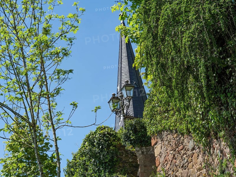Pointed gabled church tower surrounded by green trees and an old wall, Saarburg, Germany, Europe