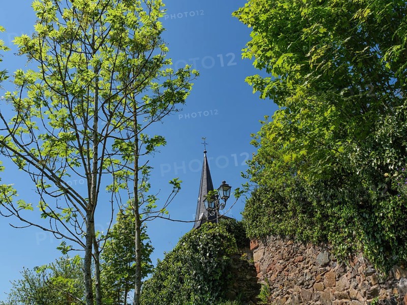 A tree with fresh green leaves and a lantern next to a city wall on a sunny day, Saarburg, Germany, Europe