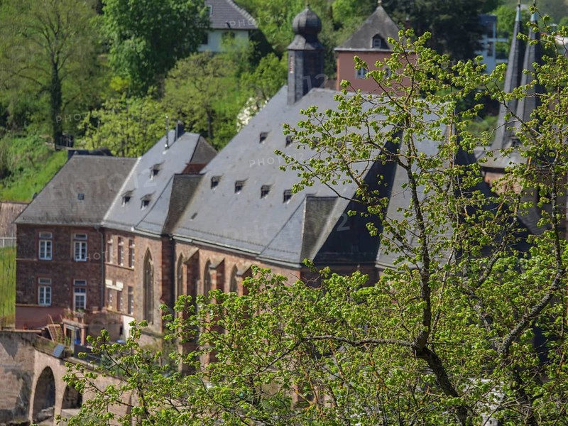 Beautiful old buildings, partly hidden by green trees that create a historic atmosphere, Saarburg, Germany, Europe