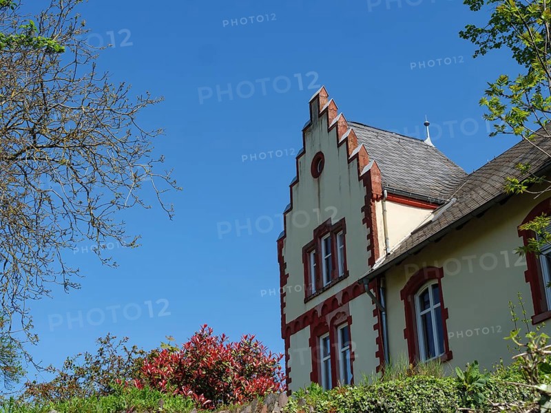 A house with striking architecture, surrounded by trees and plants under a blue sky, Saarburg, Germany, Europe
