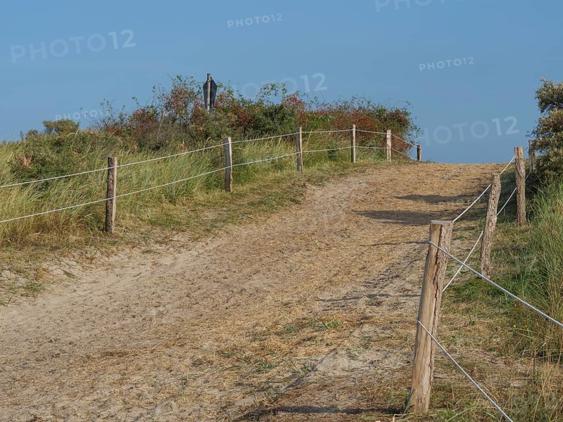 Sandy path leads through the dunes, fenced off by a wooden fence and bright blue sky, juist, east frisia, germany