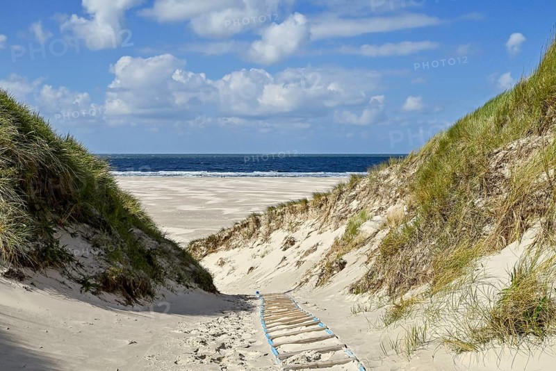 Dune path to Kniepsand and North Sea, Amrum, North Frisian Island, North Frisia, Schleswig-Holstein, Germany, Europe