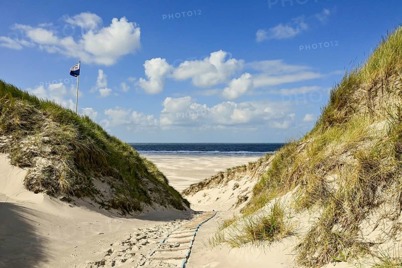 Dune path to Kniepsand and North Sea, Amrum, North Frisian Island, North Frisia, Schleswig-Holstein, Germany, Europe