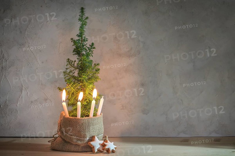 Alternative Advent wreath, three candles lit with a flame on a small conifer plant as Christmas tree symbol, large copy space