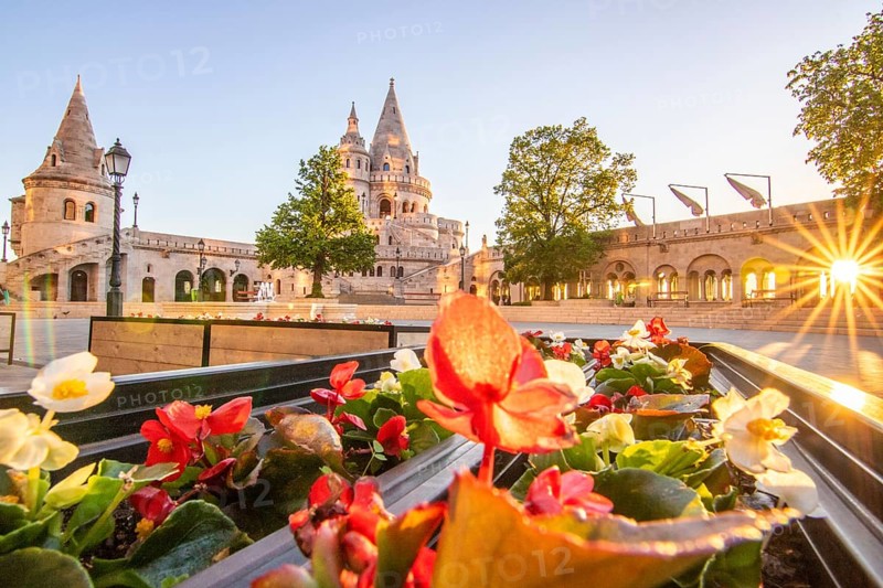 Old historic fortress and church at sunrise. City panorama at dusk. View of the Danube Fishermen's Bastion, Halaszbastya, Budapest, Hungary, Europe