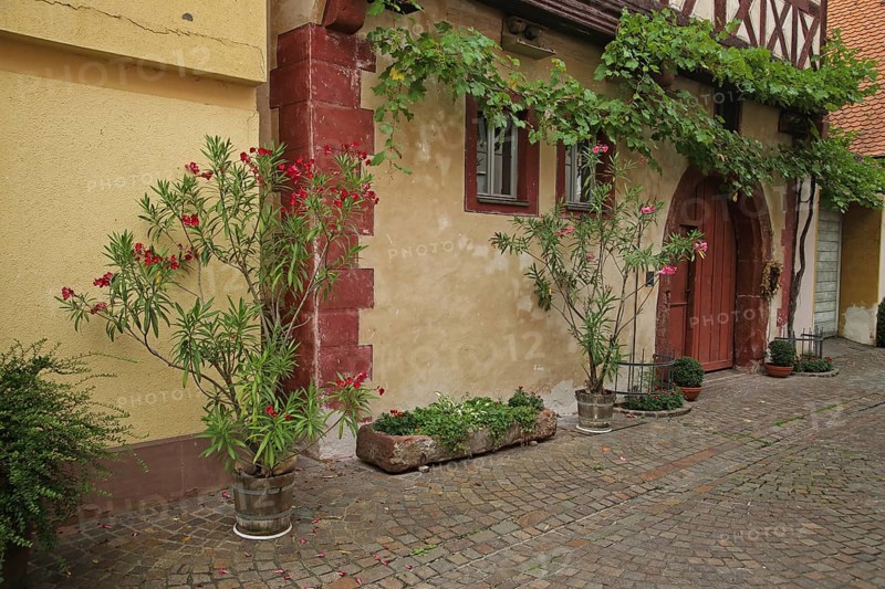 Half-timbered house with flower decoration and grapevine, idyll, house facade, Fischergasse, Karlstadt, Bavaria, Germany, Europe