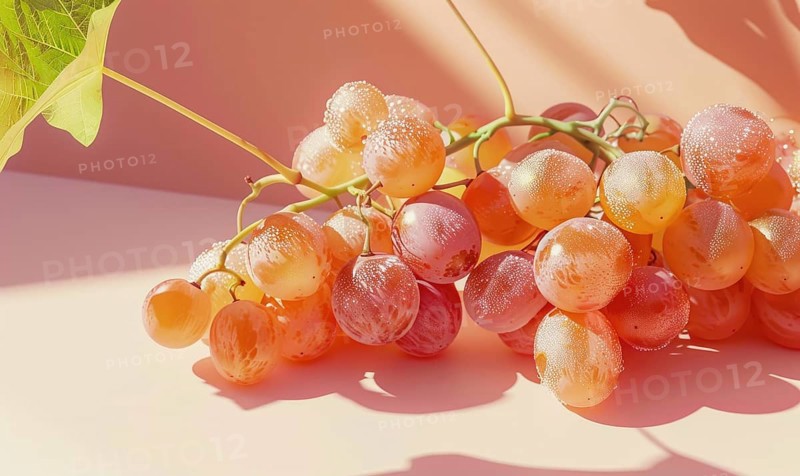 Grapes on a light pastel coral background AI generated