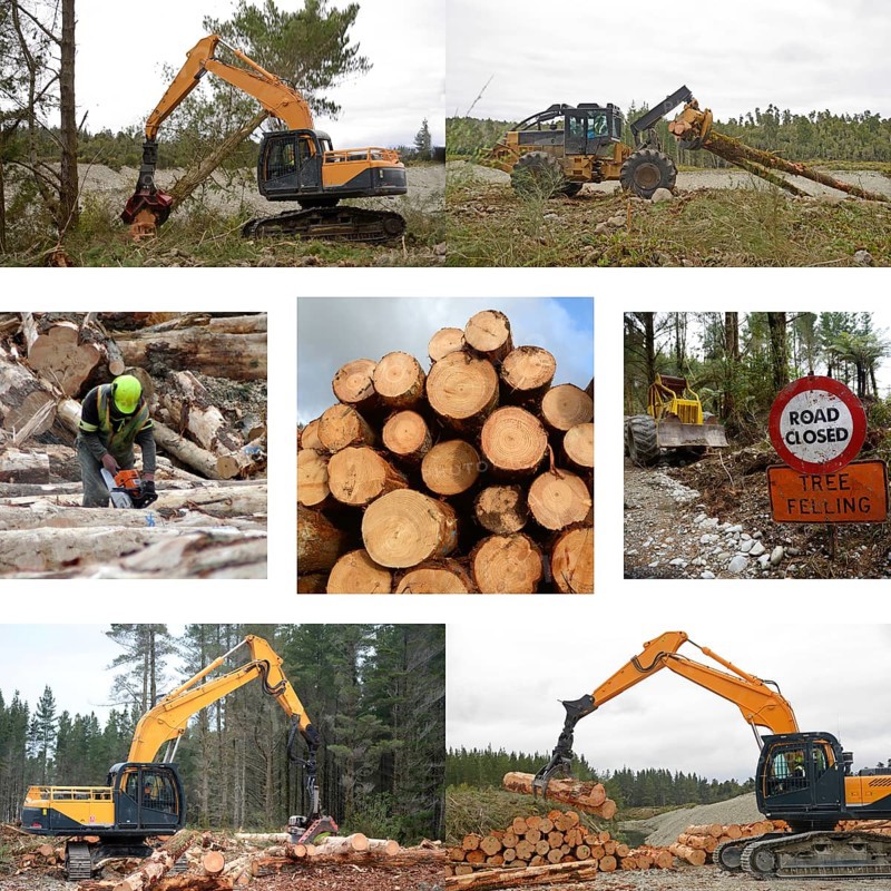 Montage of activities on forestry sites in New Zealand