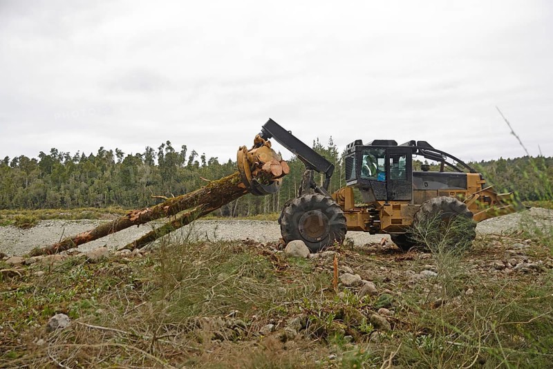 A skidder carts Pinus radiata trees off to the milling site in exotic forest on the West Coast, New Zealand, Oceania