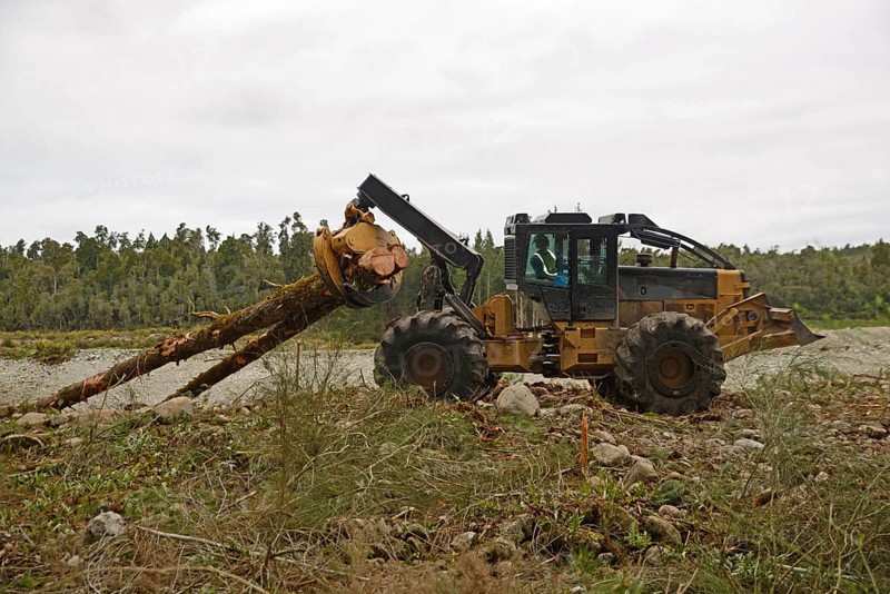 A skidder removes Pinus radiata trees at a milling site in exotic forest on the West Coast, New Zealand, Oceania
