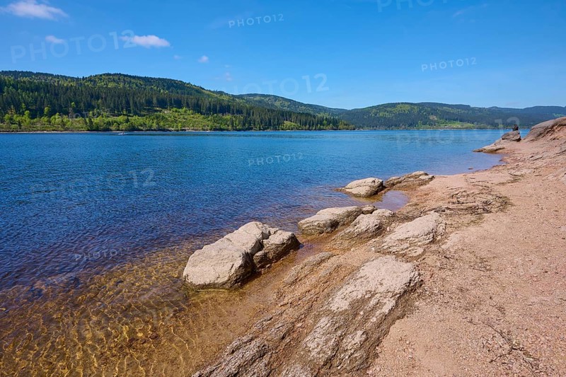 Schluchsee surrounded by trees and rocky shores under a clear blue sky, spring, Schluchsee, Black Forest, Baden-Württemberg, Germany, Europe