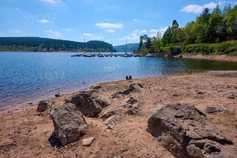 Schluchsee with jetties surrounded by trees and rocky shores under a clear blue sky, spring, Schluchsee, Black Forest, Baden-Württemberg, Germany, Europe