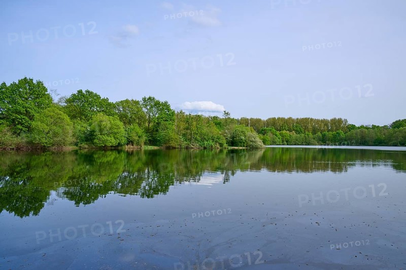 A quiet lake with a clear reflection of the surrounding green trees under a blue sky, spring, Kinzigaue, Erlensee, Hanau, Hesse, Germany, Europe