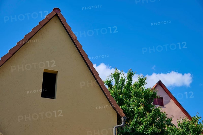 Two houses with gabled roofs, one beige and one pink, in front of a blue sky with scattered clouds and a tree in between, Karlstadt, Main Spessart, Bavaria, Germany, Europe