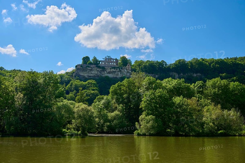 Ruin Karlburg on a hill above the river Main, surrounded by lush green trees under a blue sky with clouds, Karlstadt, Main Spessart, Bavaria, Germany, Europe