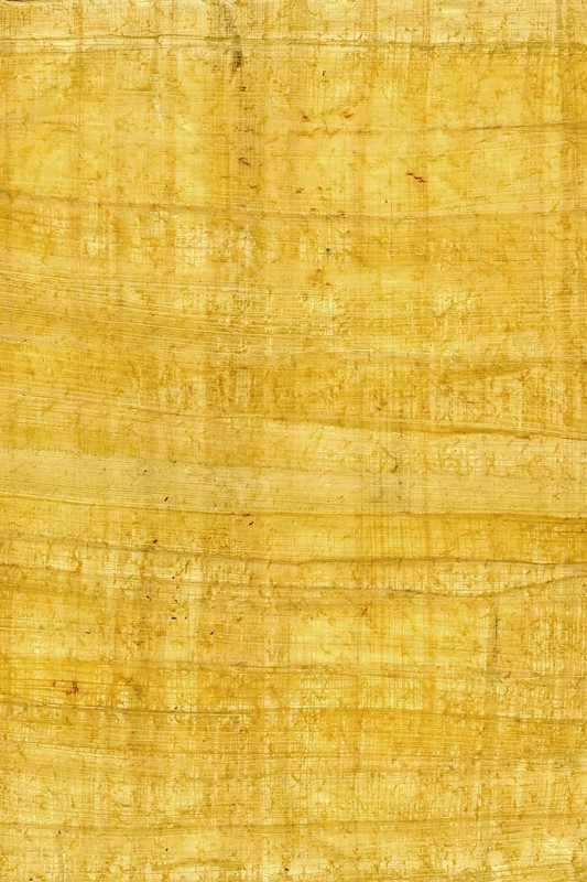 Background of real Paper reed