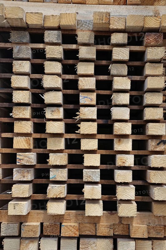 Piles of timber cut from Pinus radiata are laid out to dry at the sawmill