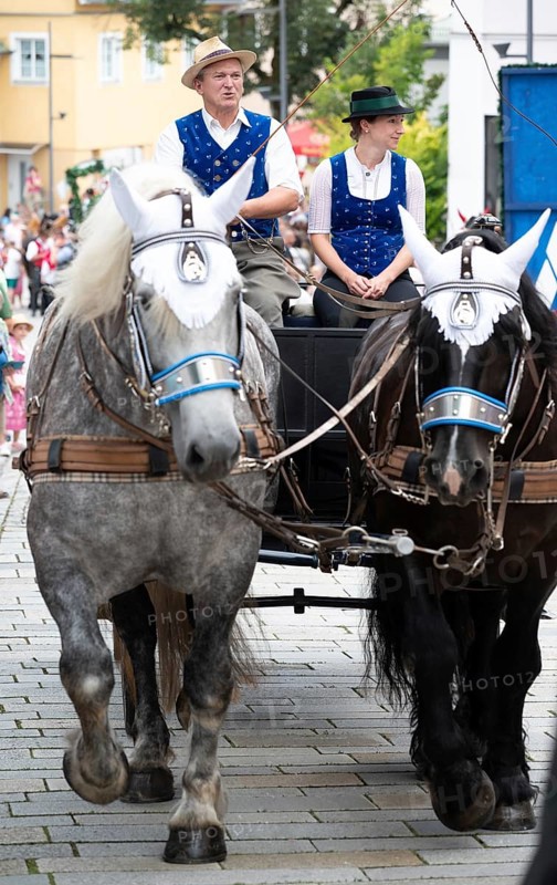 Pichelsteinerfest Regen, Lower Bavaria, Germany, July 26 2024, horse-drawn carriage, Europe