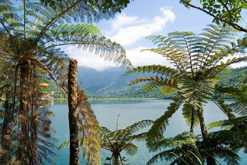 Scenic lake surrounded by palm trees and mountains under a bright blue sky, Liyu lake, Hualien, Taiwan, Asia