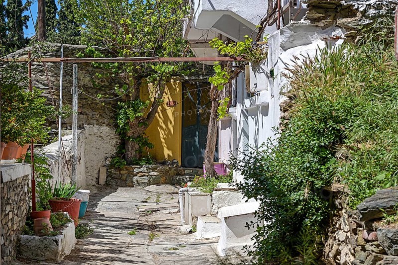 Narrow backyard in Ani Poli, the historic upper old town of Thessaloniki in Greece, decoration with potted plants on the stone paved ground and wine on the facades, selected focus