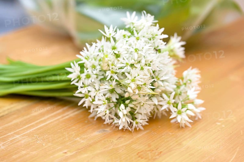 White flower bouquet of wild garlic or ramsons (Allium ursinum) on a wooden cutting board, used in cooking as decoration, the leaves can replace garlic and other herbs in many dishes, selected focus