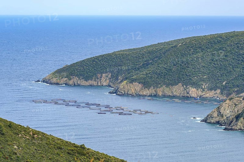 Aquaculture in a bay of Sithonia on Chalkidiki in Greece. Many fish in narrow cages are treated with antibiotics and the excrements contaminate the water in the area, copy space, selected focus
