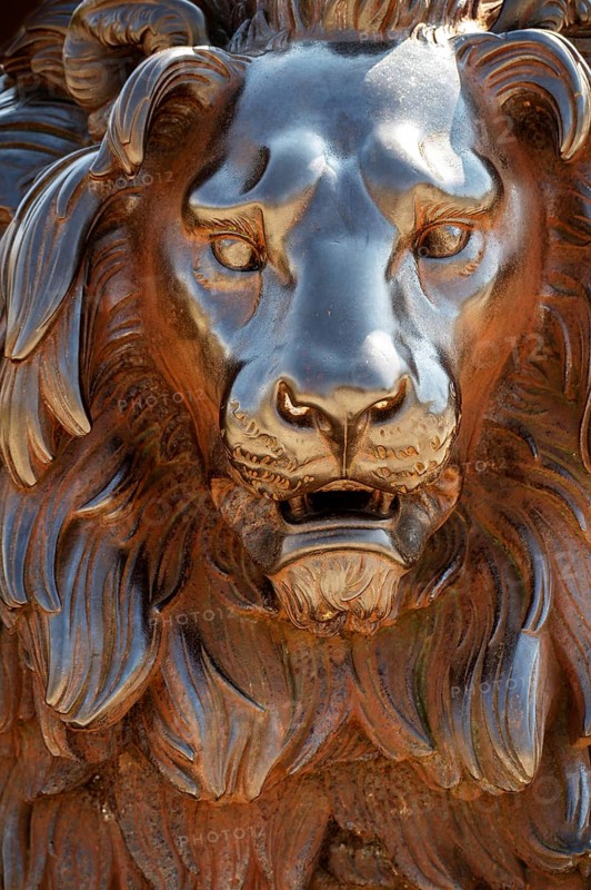 Head of a lion statue made from cast iron, the monument is located in Lubeck Germany in front of the historic Holsten Gate (Holstentor), a famous travel destination of the city, selected focus