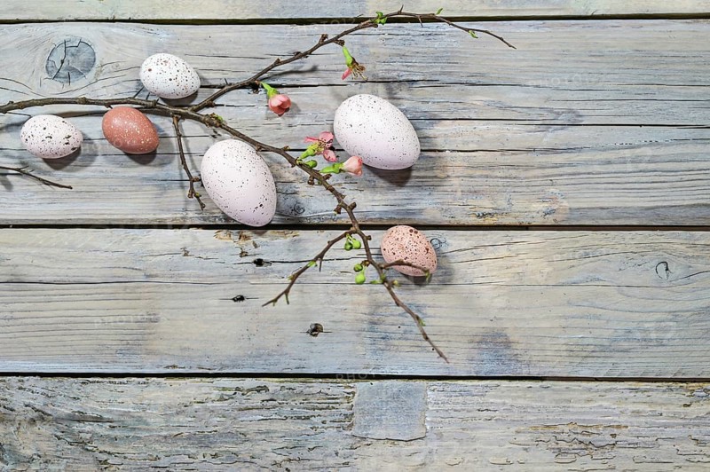 Natural colored Easter eggs and a branch with few flowers on a rustic gray wooden background, copy space, high angel view from above, selected focus