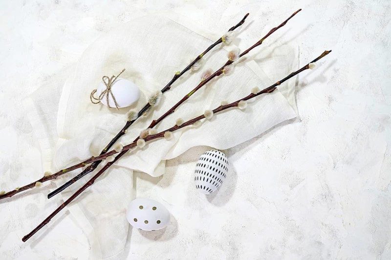 White Easter eggs with small black decor and some willow branches with catkins on a light cloth and background, copy space, high angel view from above, selected focus