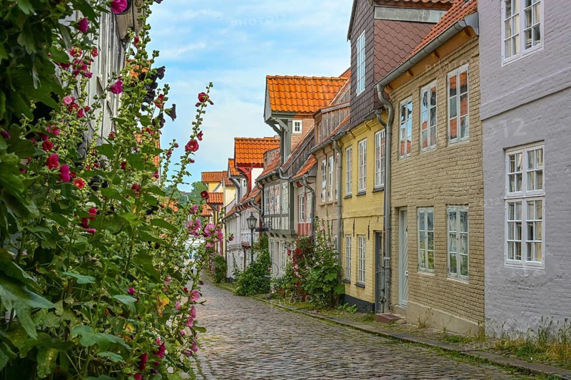 Narrow cobblestone alley with small historic residential houses and planted flowers on the facades in the old town of Flensburg, Germany, tourist destination, selected focus, narrow depth of field, Europe