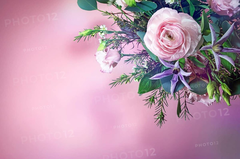 Bouquet with rose and blue flowers in the corner of a pink background, greeting card for holidays like valentines or mothers day, copy space, selected focus, narrow depth of field