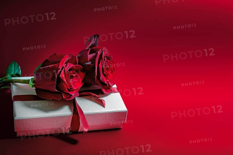 Two dark red roses on a white gift box for valentines or mothers day, holiday love symbol, red background with copy space, selected focus, narrow depth of field