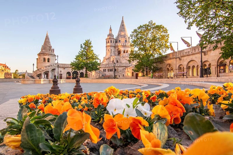 Old historic fortress and church at sunrise. City panorama at dusk. View of the Danube Fishermen's Bastion, Halaszbastya, Budapest, Hungary, Europe