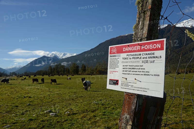 GREYMOUTH, NEW ZEALAND, SEPTEMBER 25, 2019: Signage warns people that 1080 poison has been spread in bush areas for possum control on the West Coast, New Zealand, Oceania