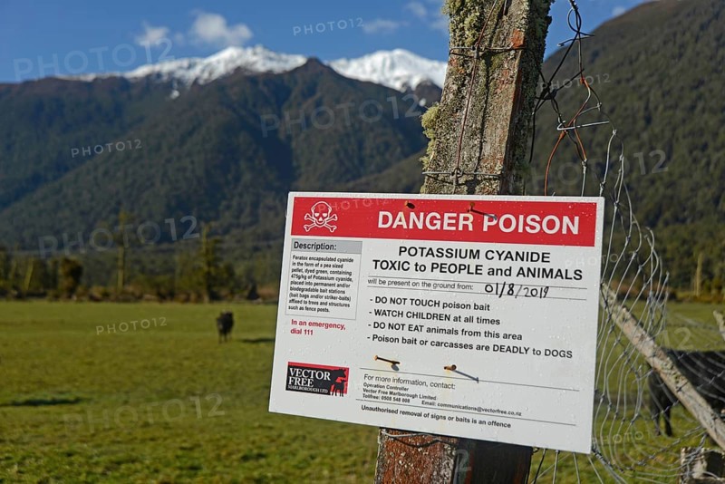 GREYMOUTH, NEW ZEALAND, SEPTEMBER 25, 2019: Signage warns people that Potassium Cyanide has been spread in baits to kill possums on the West Coast of New Zealand