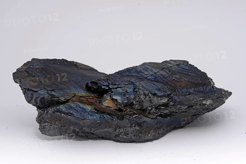 A piece of anthracite from a New Zealand mine, known to the miners as rainbow coal or peacock coal. Anthracite is the purest form of coal and it appears in about 1% of coal deposits around the world