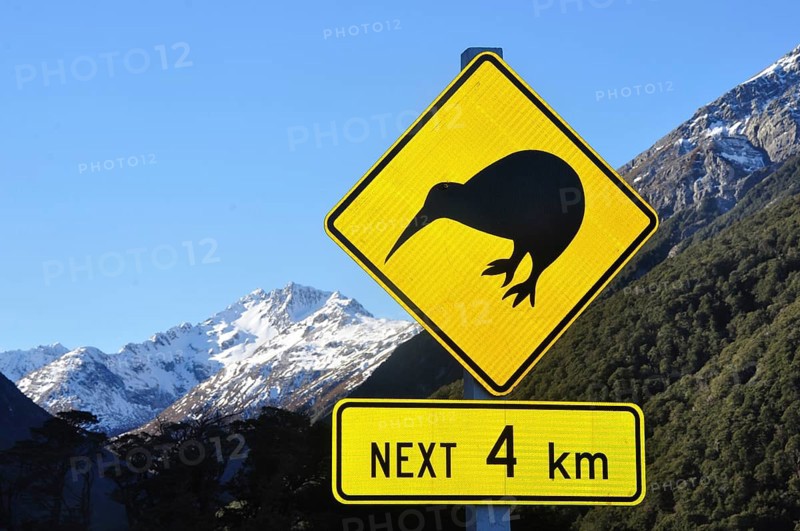 Road sign warning of kiwis near Arthurs Pass, South Island, New Zealand, Oceania