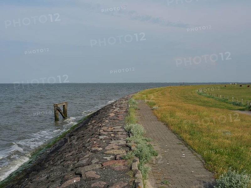A coastal path of stones along the sea with a wide sky, Hallig Hooge, schleswig-holstein, germany