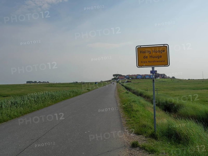 Rural road with a sign and a meadow, in the background buildings and a wide sky, Hallig Hooge, Schleswig-Holstein, Germany, Europe