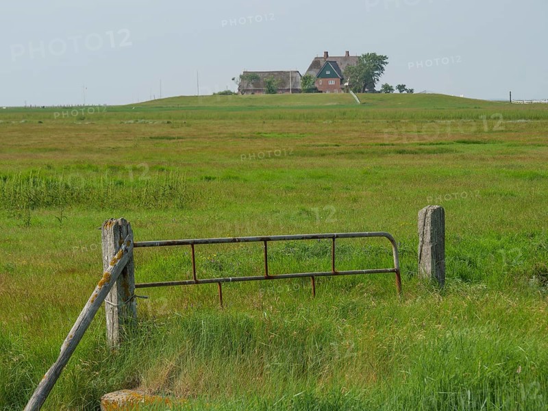 A Tor tor leads to a house in the distance, surrounded by a vast, green landscape and a peaceful atmosphere, Hallig Hooge, schleswig-holstein, germany