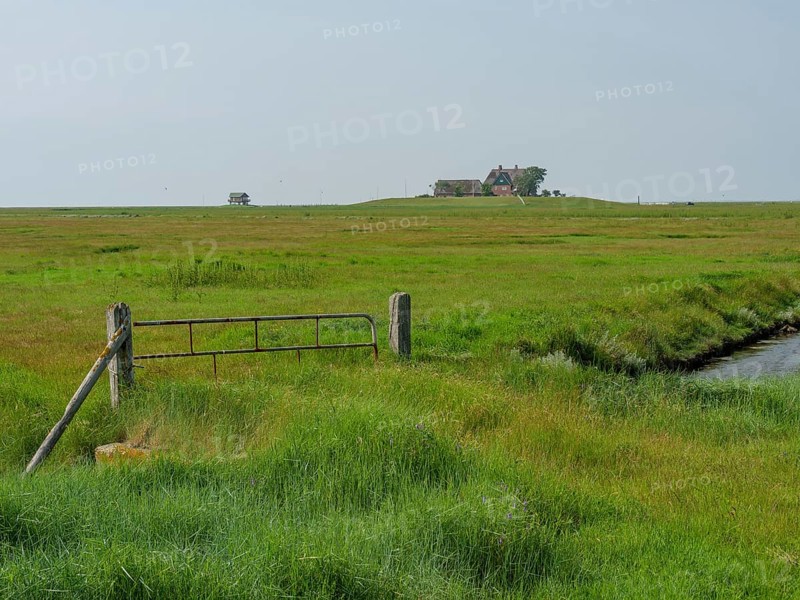 An old, wooden Tor tor stands in the middle of a wide, green meadow, reflecting the Sommerland, Hallig Hooge, schleswig-holstein, germany