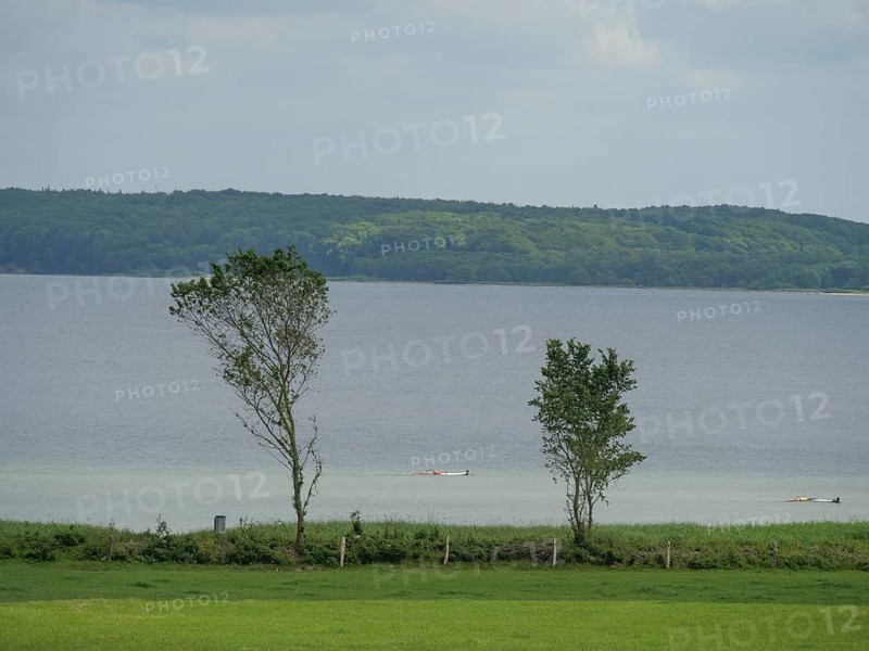 View of a calm lake with trees in the foreground under a slightly cloudy sky, Glücksburg, Schleswig-Holstein, Germany, Europe