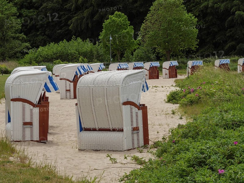 Numerous beach chairs in a natural setting with trees and bushes, relaxation on the sandy beach, Glücksburg, Schleswig-Holstein, Germany, Europe