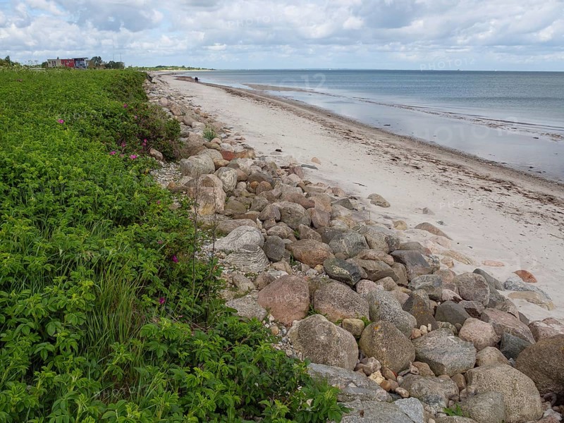 Stony coast with beach and sea, cloudy sky and green shore, Maasholm, Schleswig-Holstein, Germany, Europe