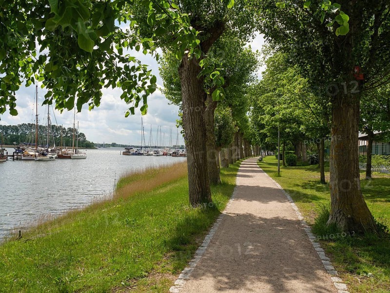 Long path under an avenue of trees along a quiet lakeshore with moored boats in summer weather, Kappeln, Schleswig-Holstein, Germany, Europe