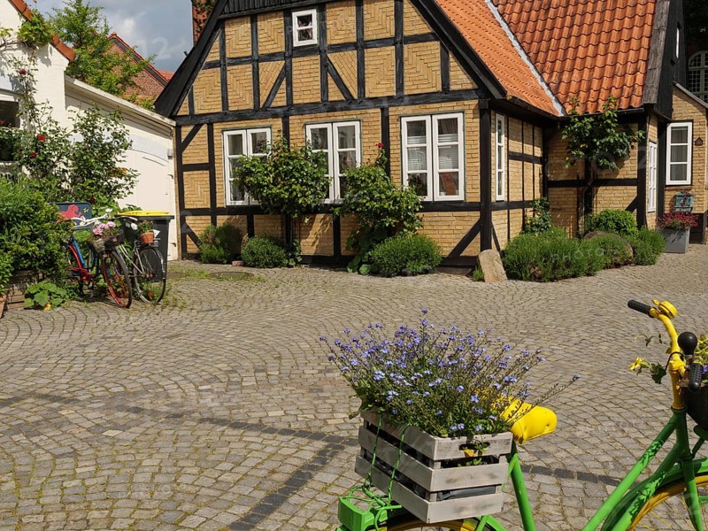 Half-timbered house with blooming flowers and a bicycle on a cobblestone street, Kappeln, Schleswig-Holstein, Germany, Europe