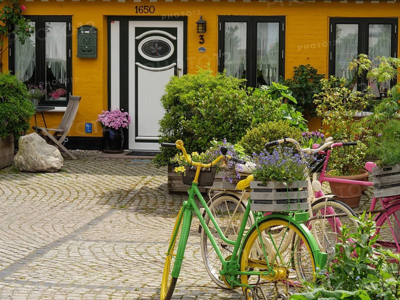 A colourful courtyard with planted bicycles, flowers and a yellow building with white window frames and door, Kappeln, Schleswig-Holstein, Germany, Europe