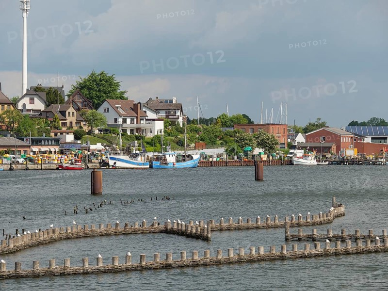 View of the harbour with fishing boats and buildings along the shore under a cloudy sky, Kappeln, Schleswig-Holstein, Germany, Europe
